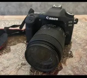 stock