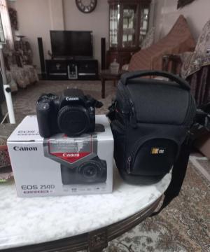 stock