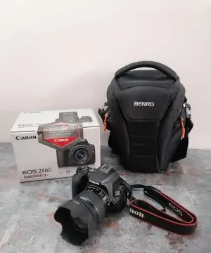 stock