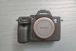 stock