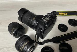 stock