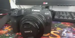 stock