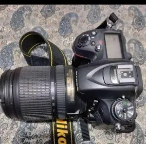 stock
