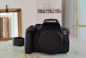 stock