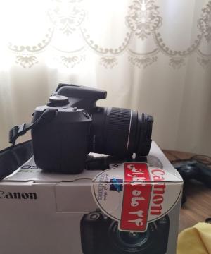 stock