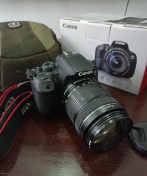 stock