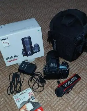 stock