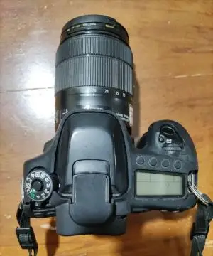 stock