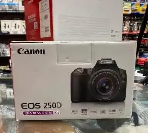stock