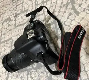 stock