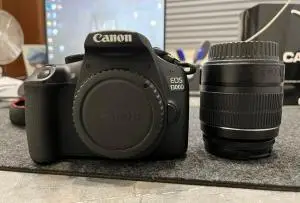 stock