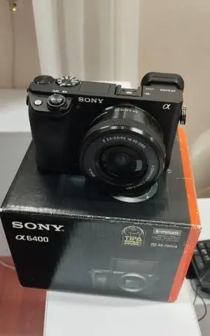 stock