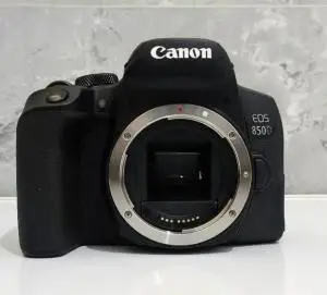 stock