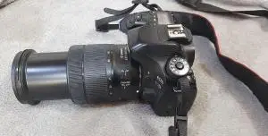 stock