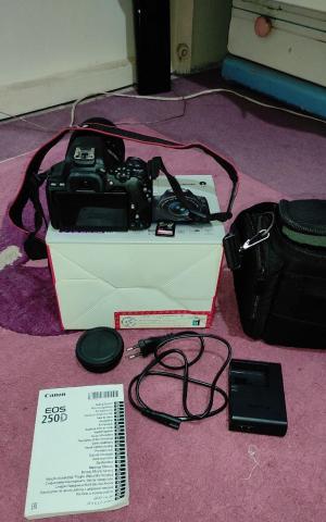 stock