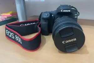 stock