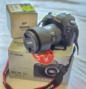 stock