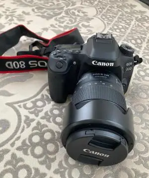 stock