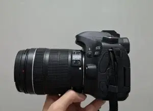 stock