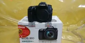 stock