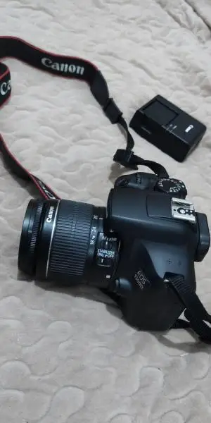 stock