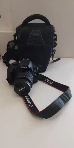 stock