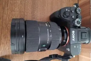 stock