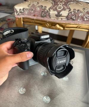 stock