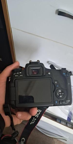 stock