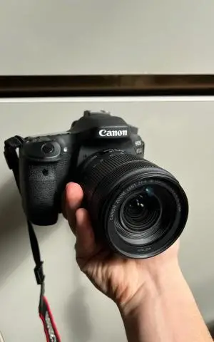 stock