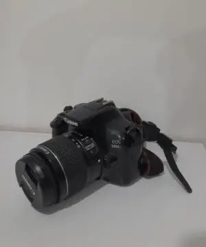 stock