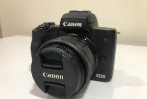 stock