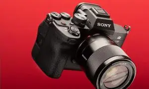 stock