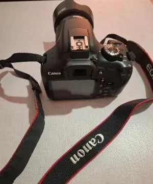 stock