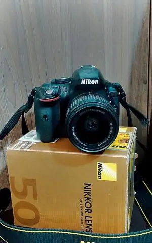 stock