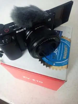 stock
