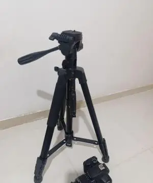 stock