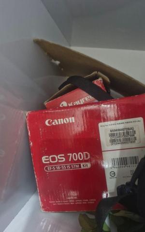 stock