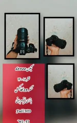 stock