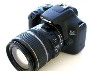stock