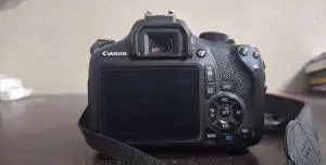 stock
