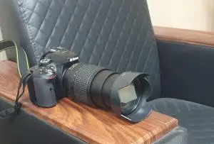 stock