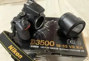 stock