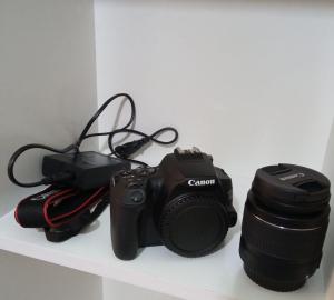 stock