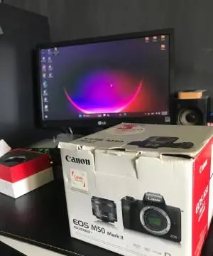 stock