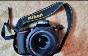 stock