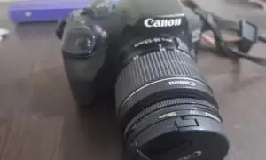 stock
