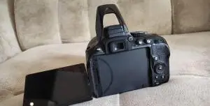 stock