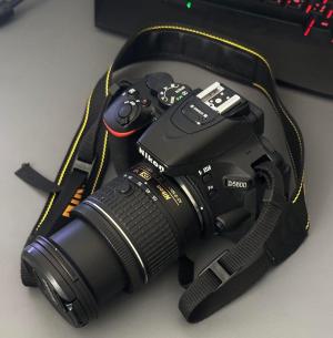stock