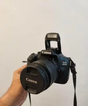 stock
